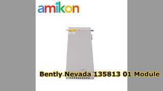 Bently Nevada 135813-01 I O Module for 3500 System