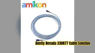Bently Nevada 330877 080 36 00 Extension Cable Guide