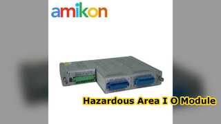 Bently Nevada 136711-02 I/O Module Explained